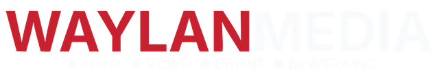 WayLAN Media logo